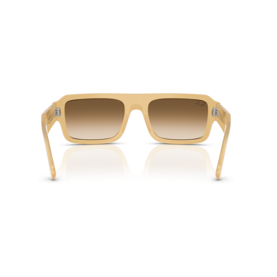 Ray-Ban RB 4454 680651 Güneş Gözlüğü
