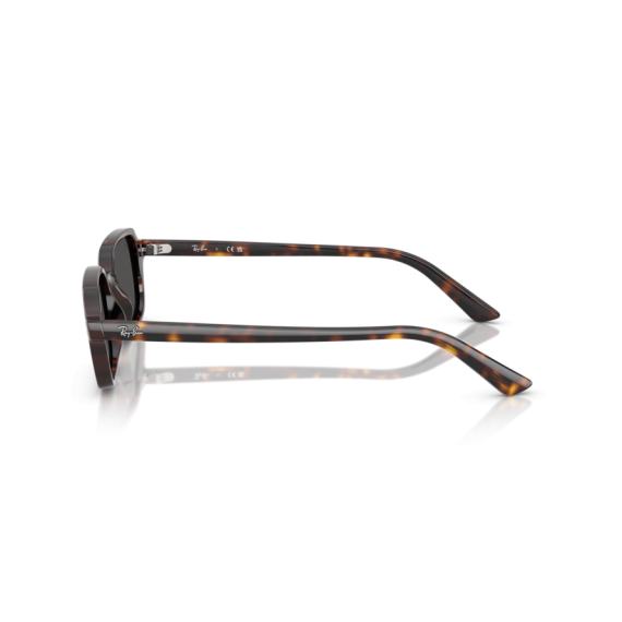 Ray-Ban RB 4455 135987 Güneş Gözlüğü