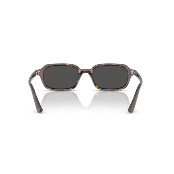 Ray-Ban RB 4455 135987 Güneş Gözlüğü