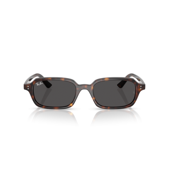 Ray-Ban RB 4455 135987 Güneş Gözlüğü