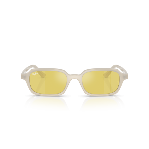 Ray-Ban RB 4455 68086D Güneş Gözlüğü