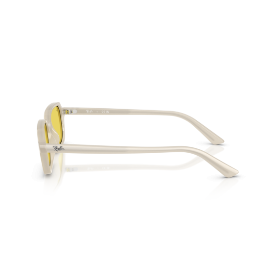 Ray-Ban RB 4455 68086D Güneş Gözlüğü