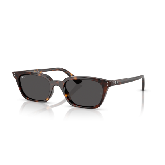 Ray-Ban RB 4456 135987 Güneş Gözlüğü