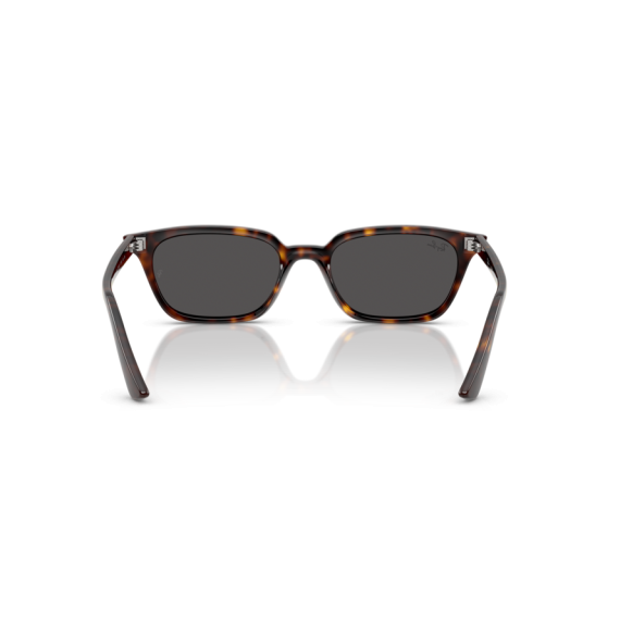 Ray-Ban RB 4456 135987 Güneş Gözlüğü