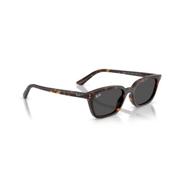 Ray-Ban RB 4456 135987 Güneş Gözlüğü