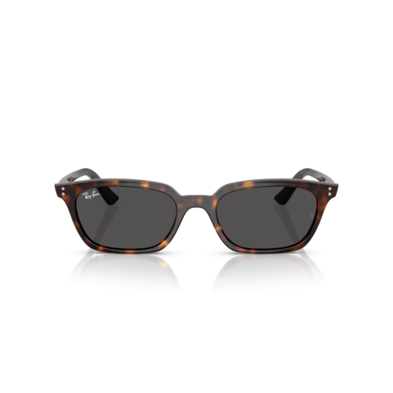 Ray-Ban RB 4456 135987 Güneş Gözlüğü