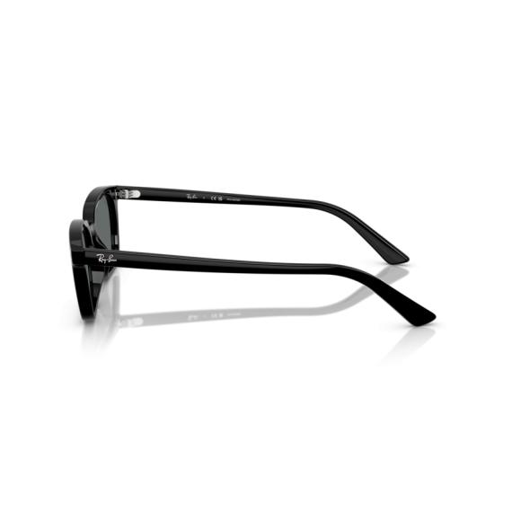 Ray-Ban RB 4456 667781 Güneş Gözlüğü