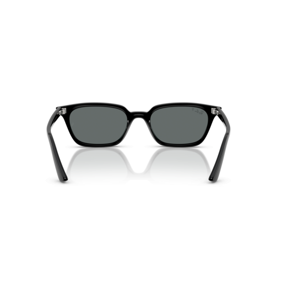 Ray-Ban RB 4456 667781 Güneş Gözlüğü