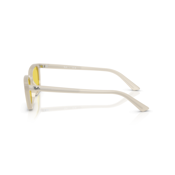 Ray-Ban RB 4456 68086D Güneş Gözlüğü