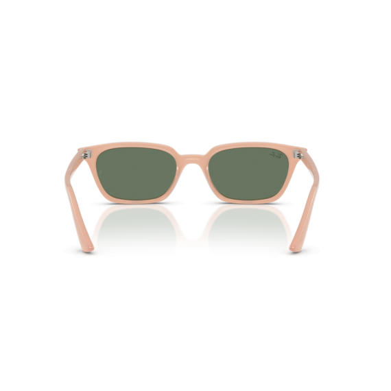 Ray-Ban RB 4456 681182 Güneş Gözlüğü