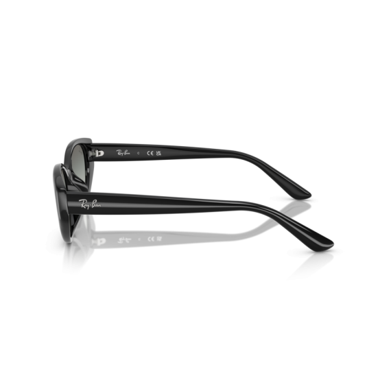Ray-Ban RB 4457D 667711 Güneş Gözlüğü