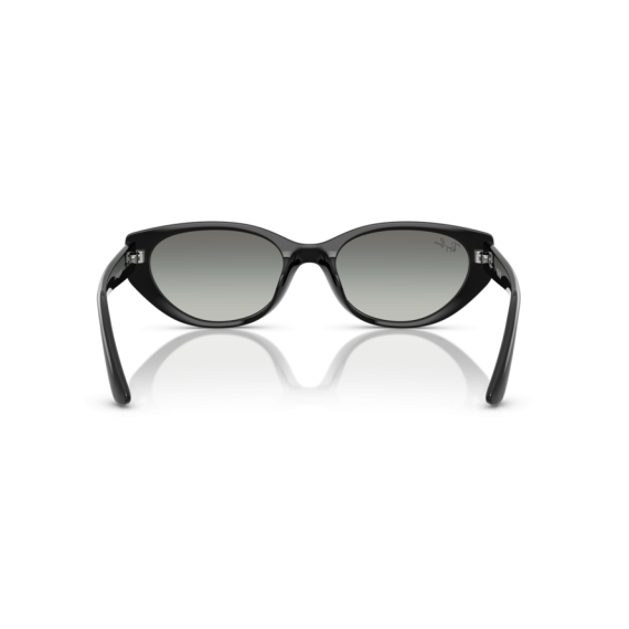 Ray-Ban RB 4457D 667711 Güneş Gözlüğü