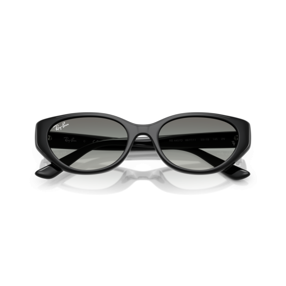 Ray-Ban RB 4457D 667711 Güneş Gözlüğü