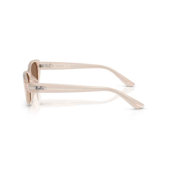 Ray-Ban RB 4457D 678673 Güneş Gözlüğü
