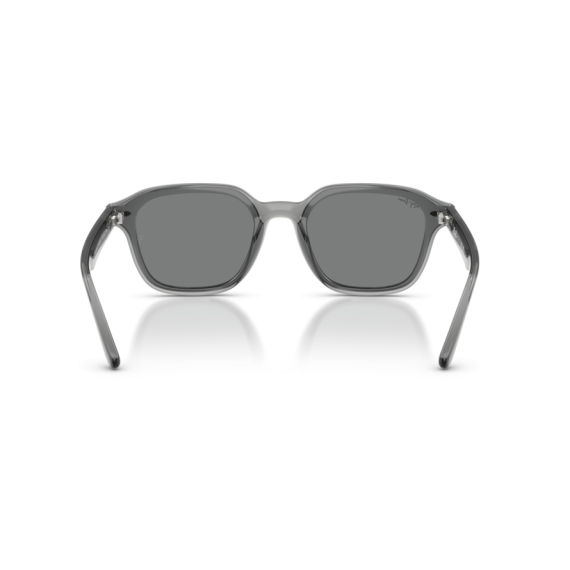 Ray-Ban RB 4458D 645087 Güneş Gözlüğü