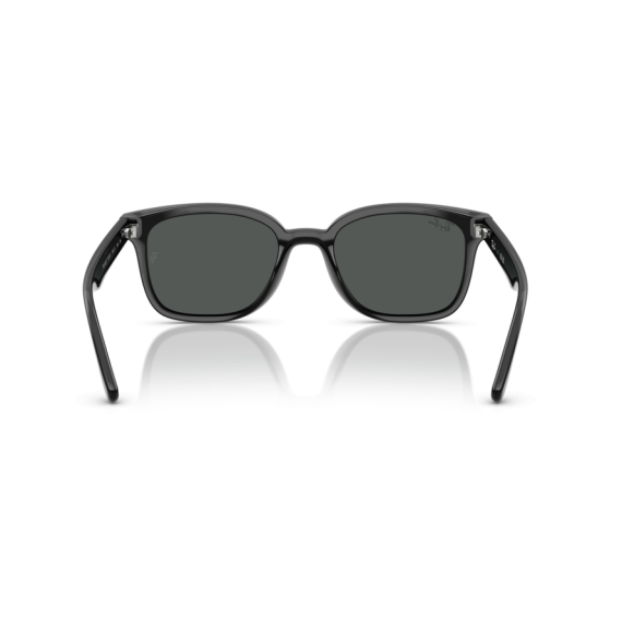Ray-Ban RB 4461D 601/87 Güneş Gözlüğü