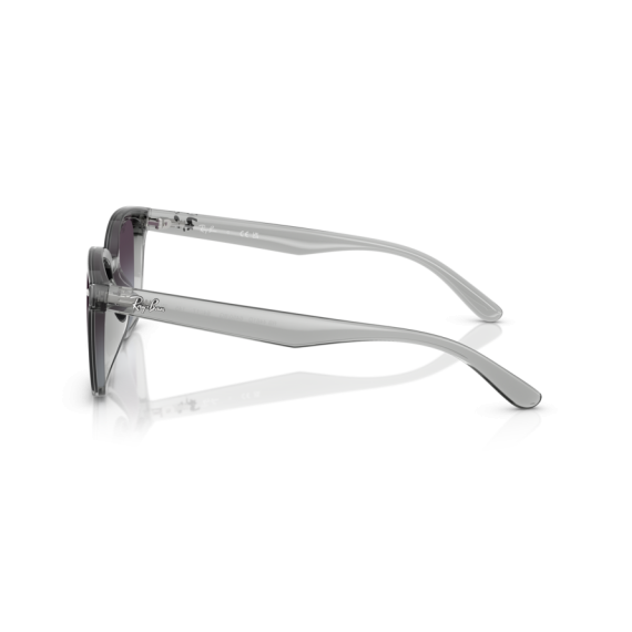 Ray-Ban RB 4461D 64508G Güneş Gözlüğü
