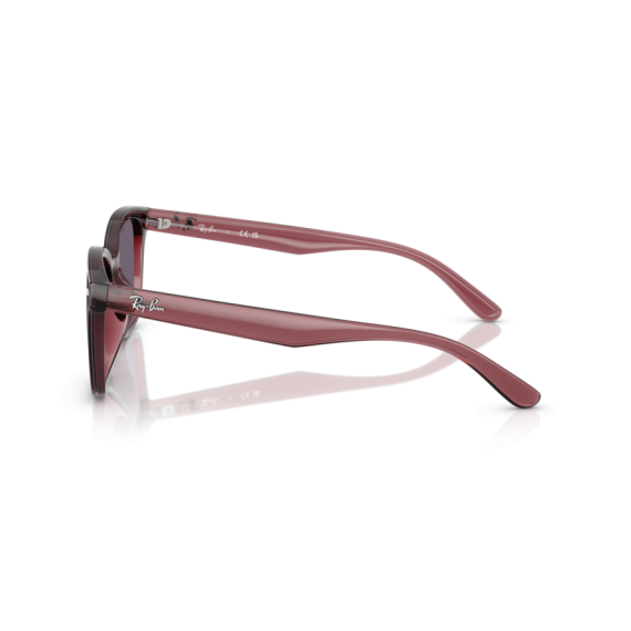 Ray-Ban RB 4461D 659373 Güneş Gözlüğü