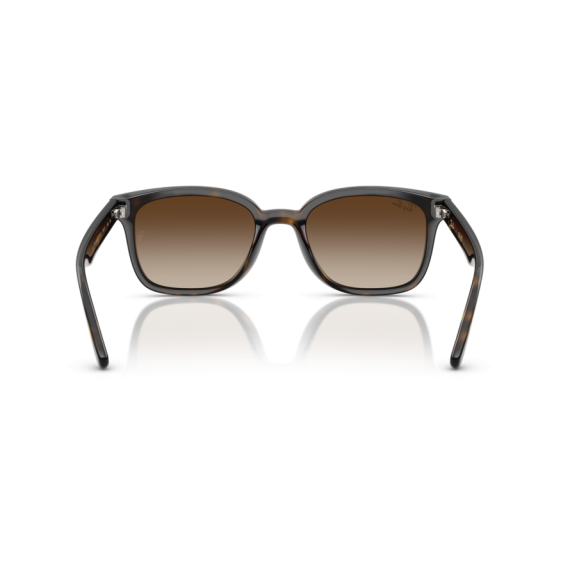 Ray-Ban RB 4461D 710/13 Güneş Gözlüğü