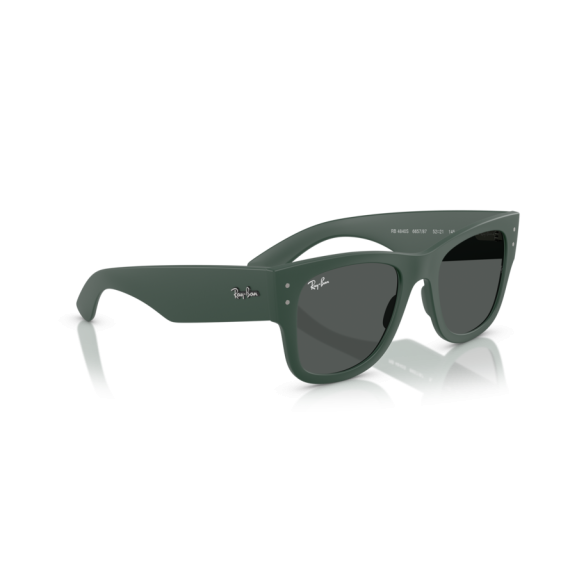 Ray-Ban RB 4840S 665787 Güneş Gözlüğü