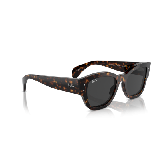 Ray-Ban RB 7681S 902/48 Güneş Gözlüğü