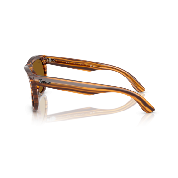 Ray-Ban RB R0502S 679183 Güneş Gözlüğü
