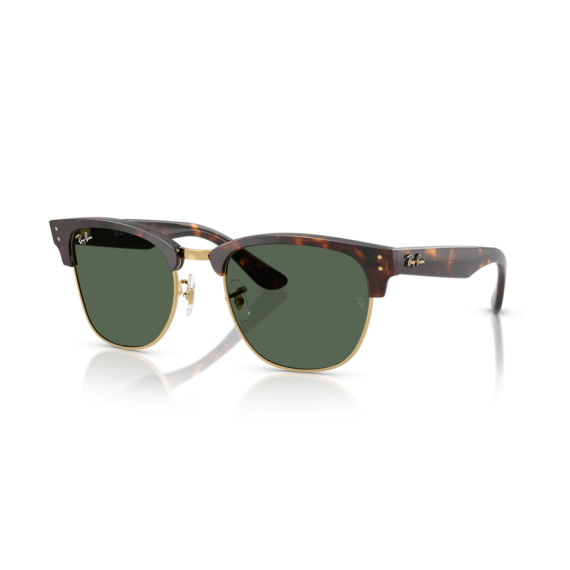 Ray-Ban RB R0504S 1359VR Güneş Gözlüğü
