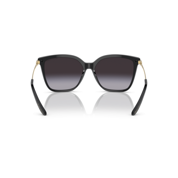 Ralph Lauren RL 8209 50018G Güneş Gözlüğü