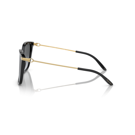 Ralph Lauren RL 8209 5001T3 Güneş Gözlüğü