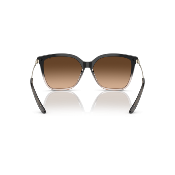 Ralph Lauren RL 8209 602274 Güneş Gözlüğü