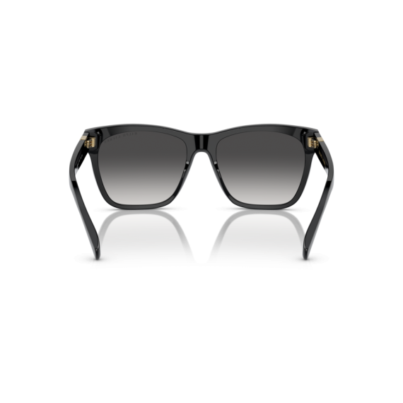 Ralph Lauren RL 8212 50018G Güneş Gözlüğü
