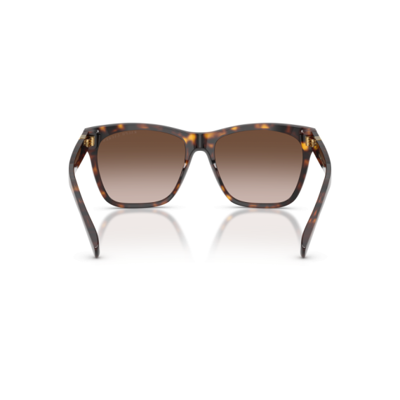 Ralph Lauren RL 8212 500313 Güneş Gözlüğü