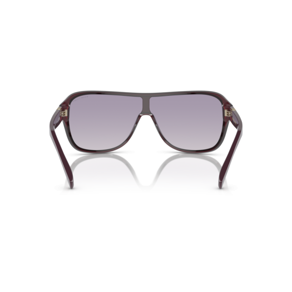 Ralph Lauren RL 8214U 605279 Güneş Gözlüğü