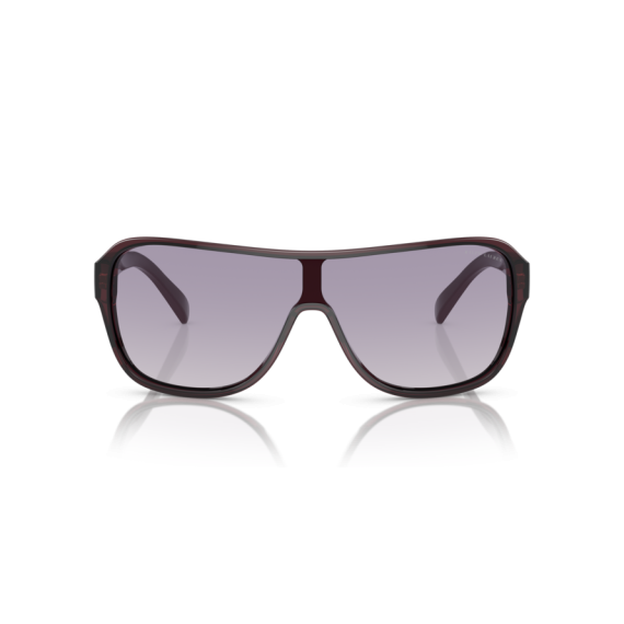 Ralph Lauren RL 8214U 605279 Güneş Gözlüğü