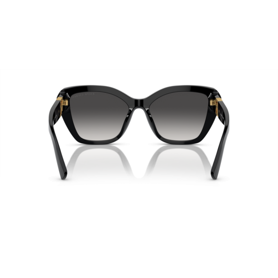 Ralph Lauren RL 8216U 50018G Güneş Gözlüğü