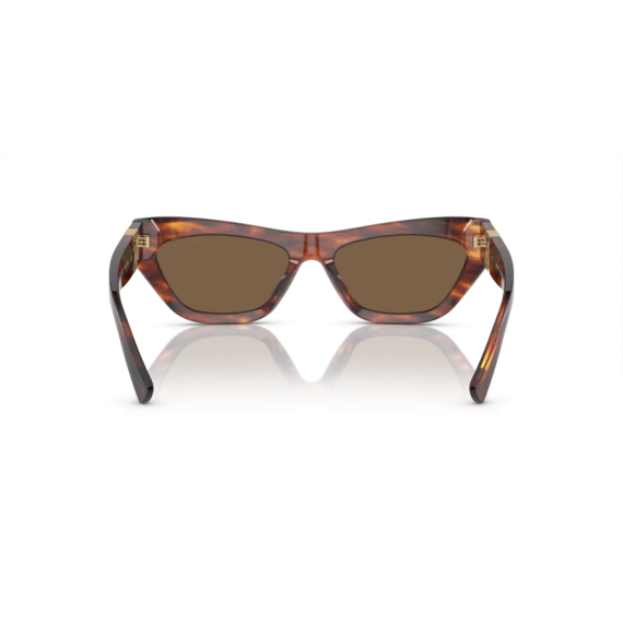 Ralph Lauren RL 8218U 500773 Güneş Gözlüğü