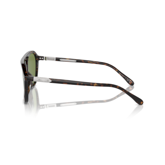 Ralph Lauren RL 8219U 50034E Güneş Gözlüğü