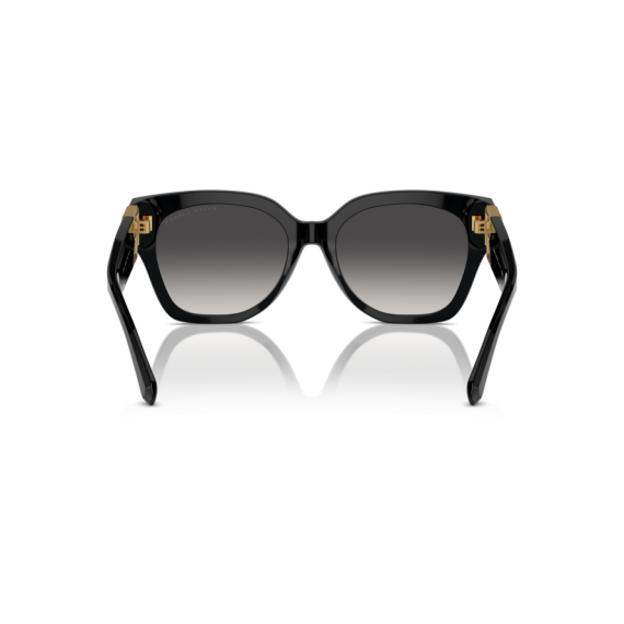 Ralph Lauren RL 8221 50018G Güneş Gözlüğü