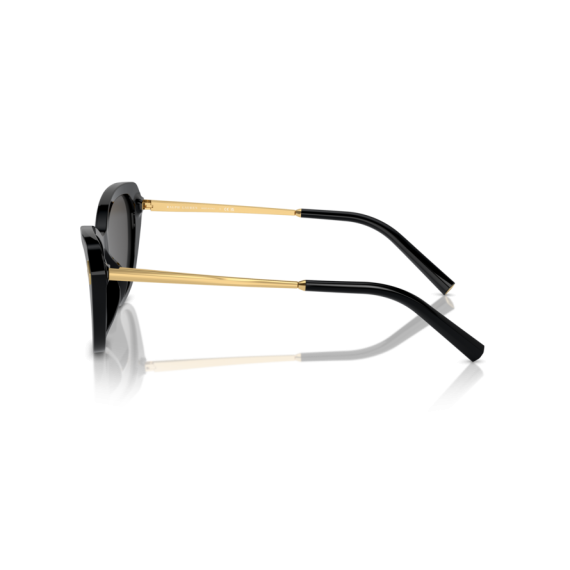 Ralph Lauren RL 8224U 500187 Güneş Gözlüğü