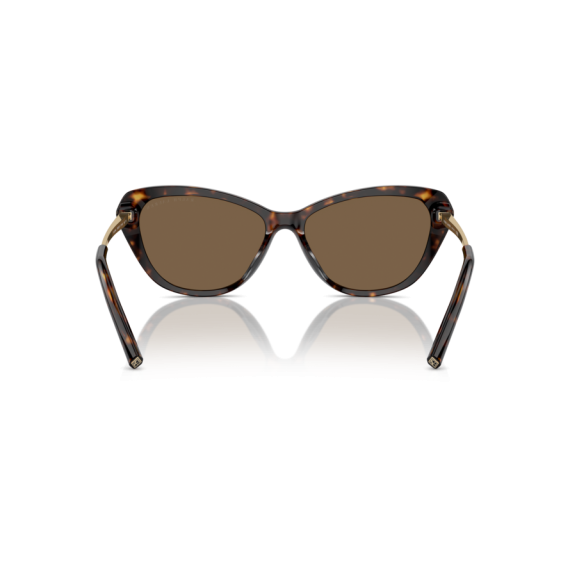 Ralph Lauren RL 8224U 500373 Güneş Gözlüğü