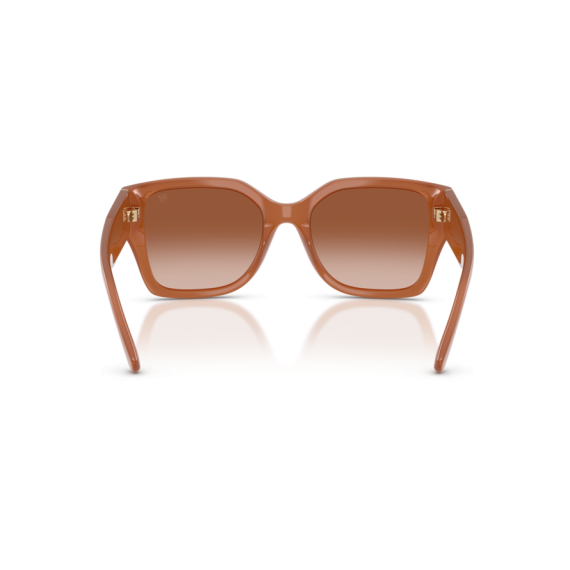 Ralph Lauren RL 8230U 624413 Güneş Gözlüğü