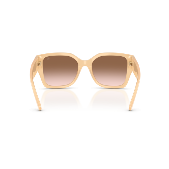 Ralph Lauren RL 8230U 624513 Güneş Gözlüğü