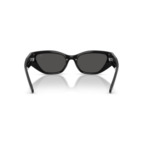 Ralph Lauren RL 8231U 500187 Güneş Gözlüğü