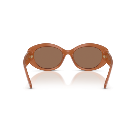 Ralph Lauren RL 8232U 624473 Güneş Gözlüğü