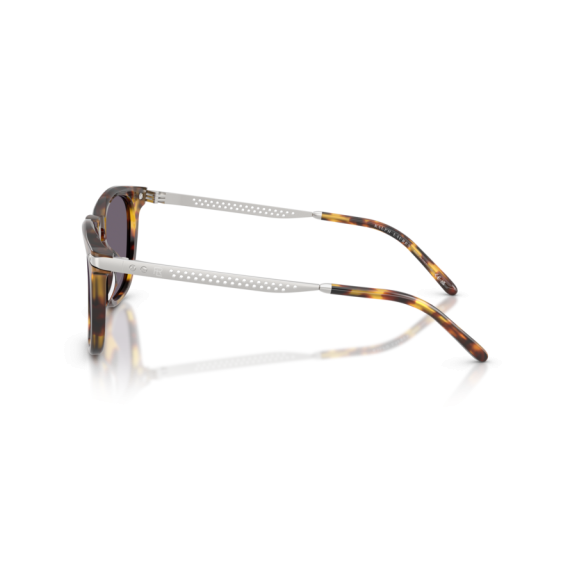 Ralph Lauren RL 8233U 51341A Güneş Gözlüğü
