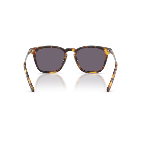Ralph Lauren RL 8233U 51341A Güneş Gözlüğü