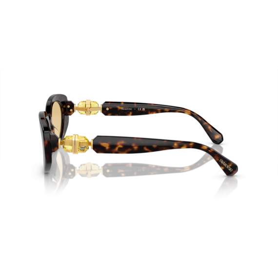 Swarovski SK 6002 1002/8 Güneş Gözlüğü