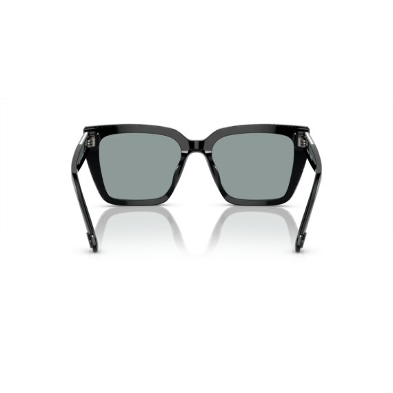 Swarovski SK 6013 1010/1 Güneş Gözlüğü