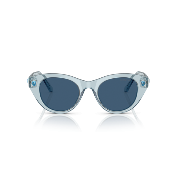 Swarovski SK 6025 106555 Güneş Gözlüğü