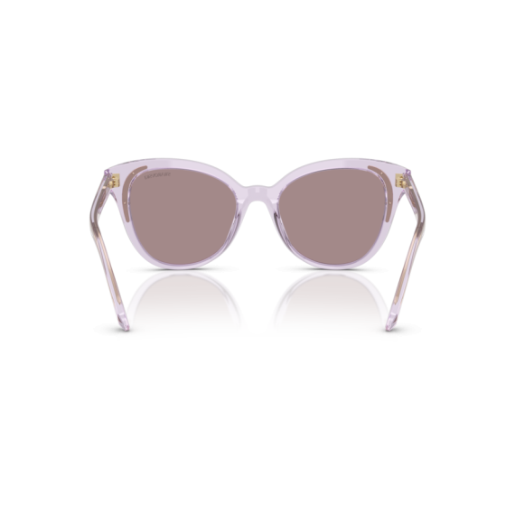 Swarovski SK 6031 1079LA Güneş Gözlüğü
